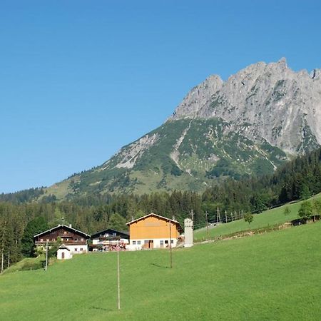 Ferienbauernhof Elmaugut Villa Muhlbach Am Hochkonig Bagian luar foto