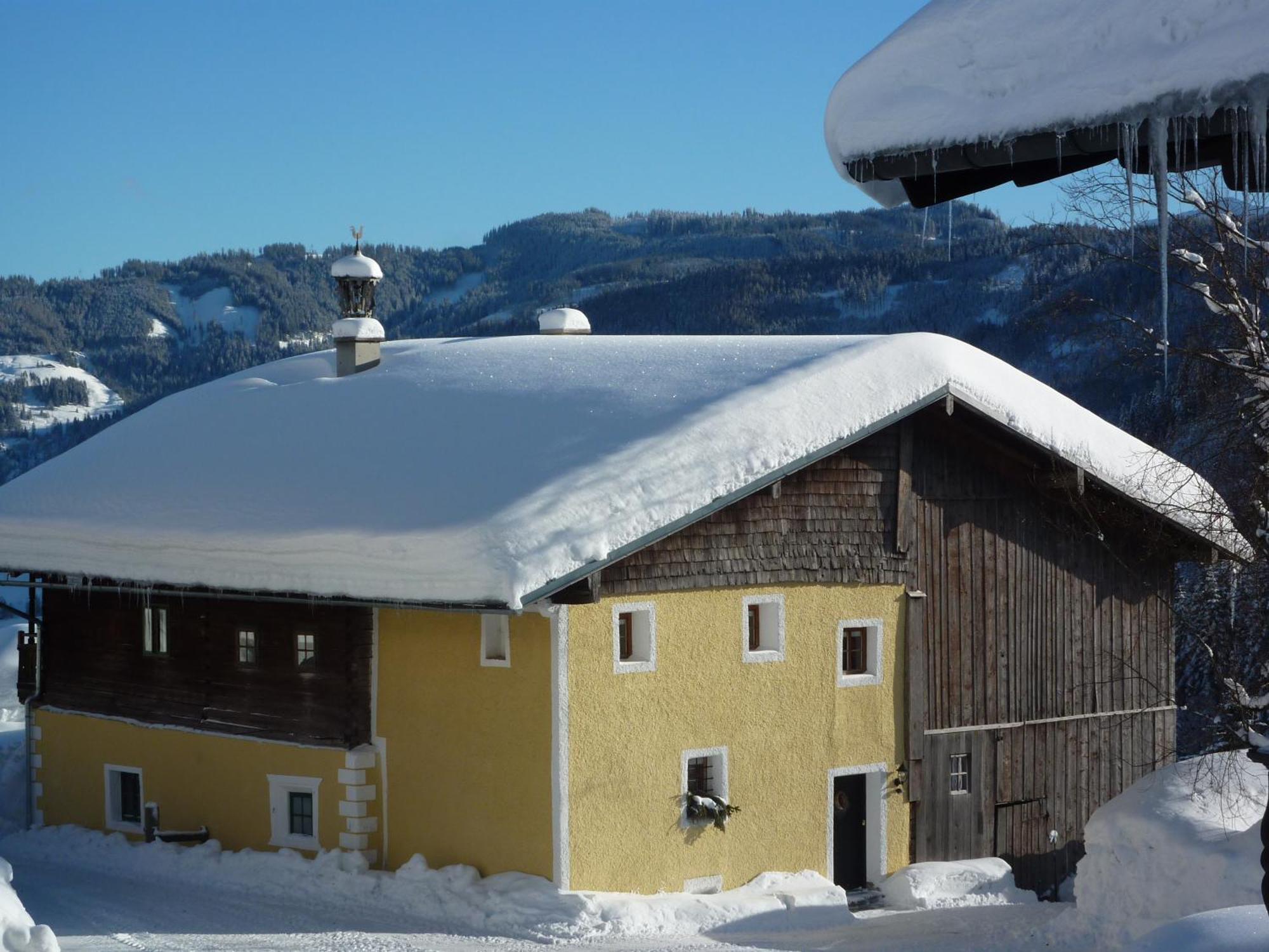 Ferienbauernhof Elmaugut Villa Muhlbach Am Hochkonig Bagian luar foto
