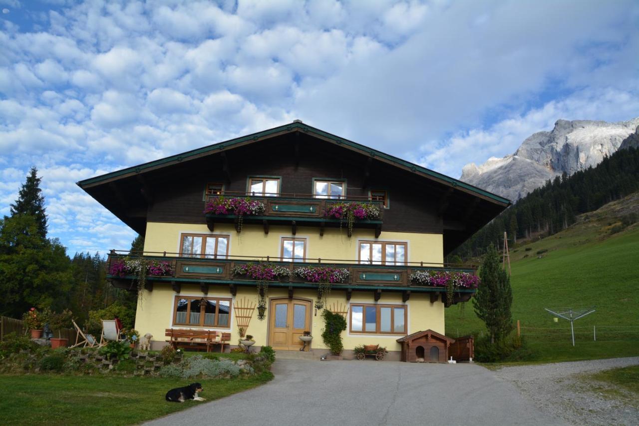 Ferienbauernhof Elmaugut Villa Muhlbach Am Hochkonig Bagian luar foto