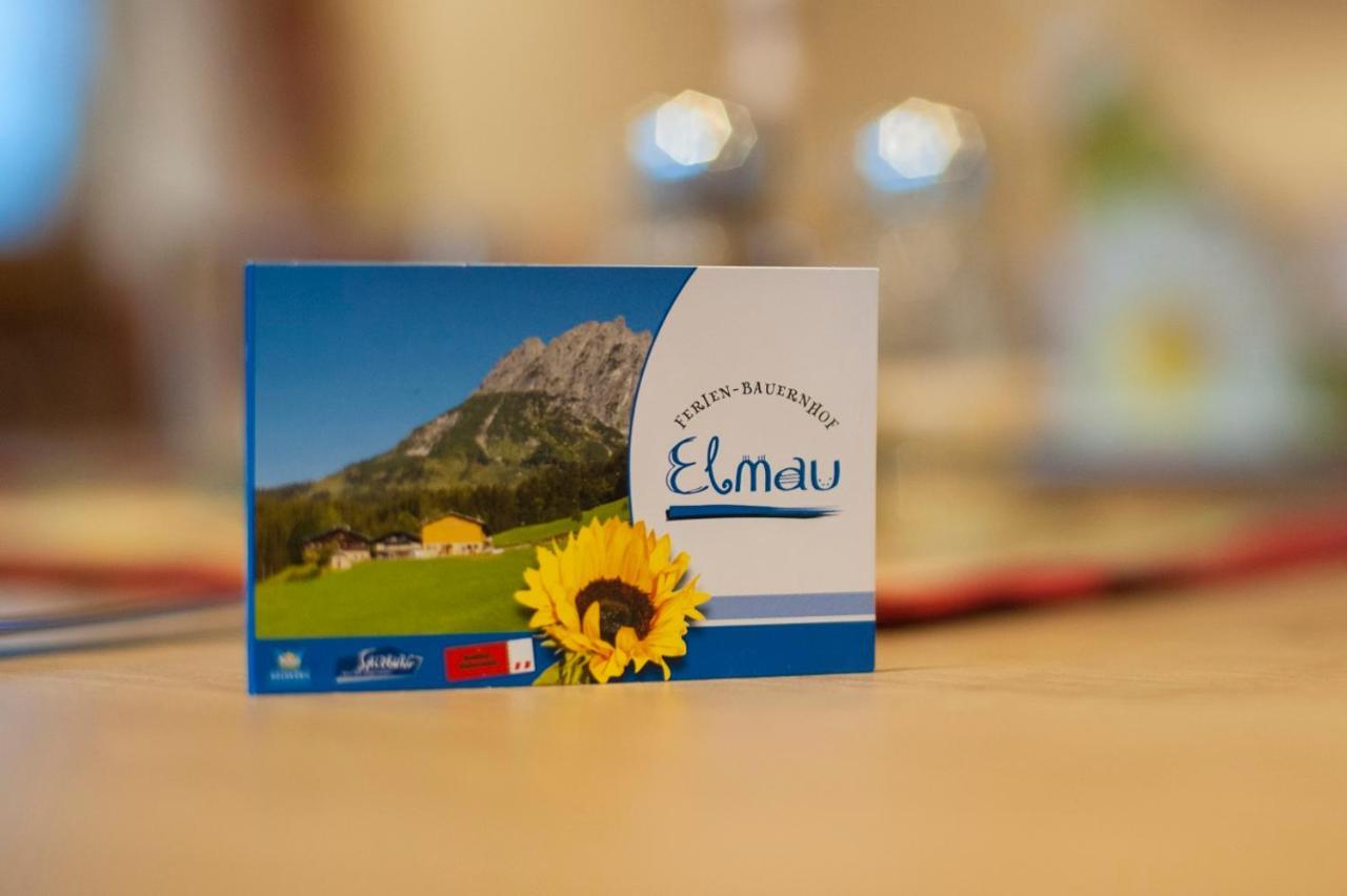 Ferienbauernhof Elmaugut Villa Muhlbach Am Hochkonig Bagian luar foto